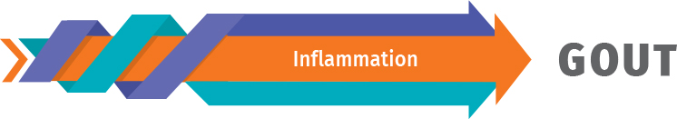 Inflammation leading to gout