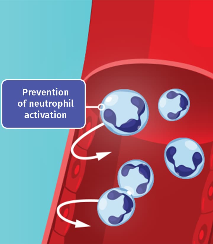 Prevention of neutrophil activity