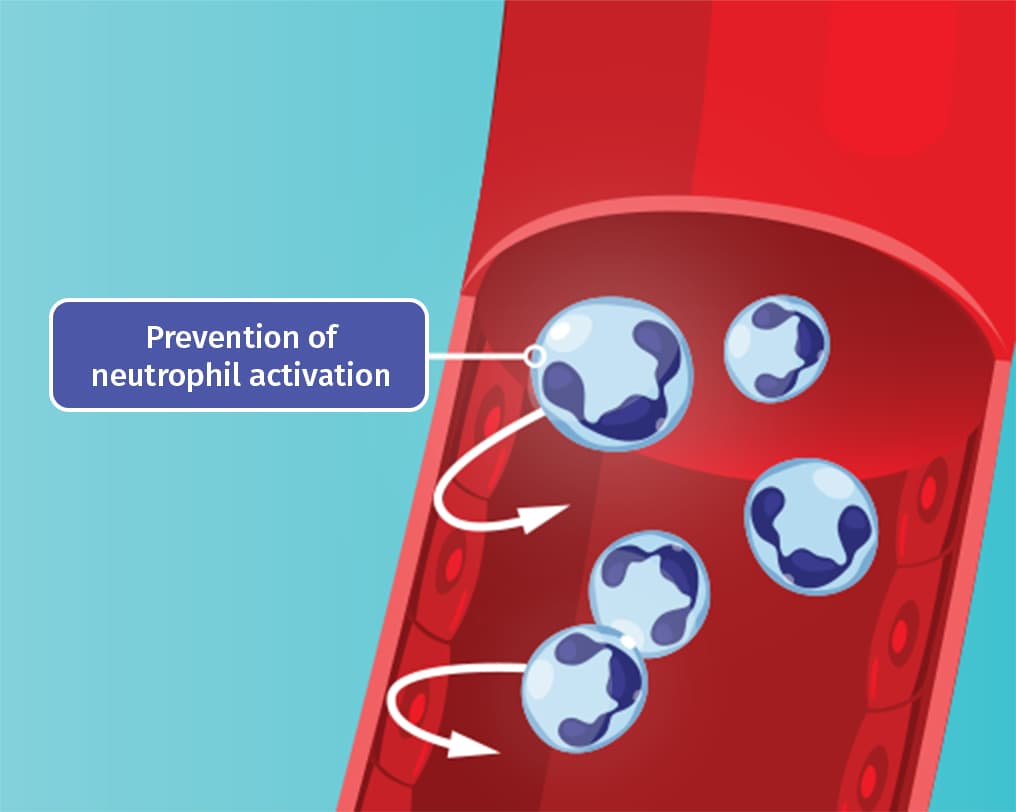 Prevention of neutrophil activity